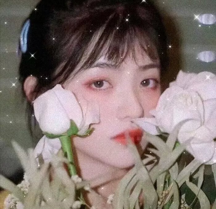 维奥莱特·诺齐埃尔